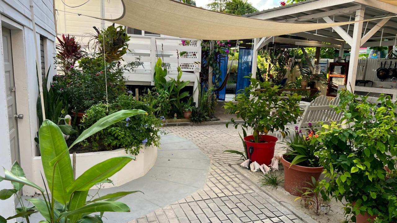 Blue Wave Guest House Caye Caulker Εξωτερικό φωτογραφία
