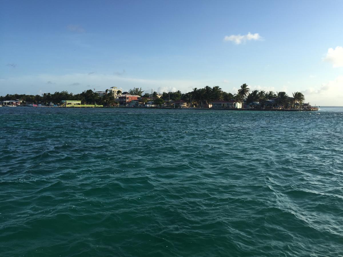 Blue Wave Guest House Caye Caulker Εξωτερικό φωτογραφία